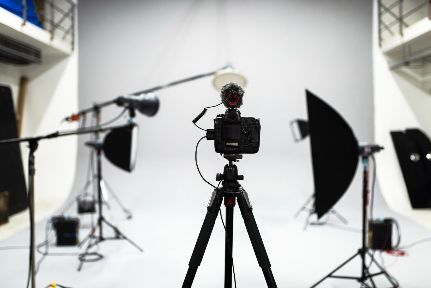 Professional photography shoot